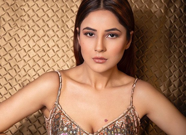 Shehnaaz Gill Hot Pics